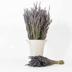 Victoria's Lavender pillow mist dispense demonstrates soothing scent for bedtime.