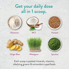 VIDAPURA Keto-Green Protein chocolate powder scoop ready to mix