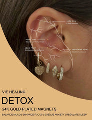 Vie Healing auricular points chart helps position seeds confidently.