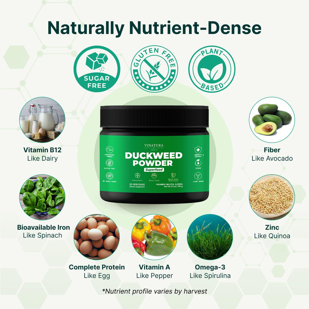 VINATURA Duckweed Powder in a smoothie for fiber-rich daily nutrition.
