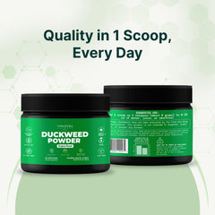 VINATURA Duckweed Powder kitchen scene illustrating versatile daily use.