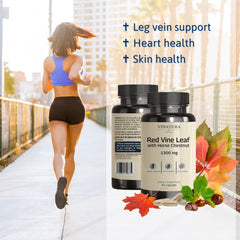 VINATURA Horse Chestnut Extract ingredients close-up highlighting active compounds