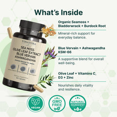VINATURA Olive Leaf capsules in a wellness blend