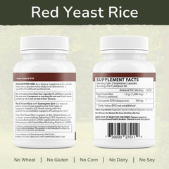 Vinco CoQ10 50 mg per serving graphic highlighting energy support potential.