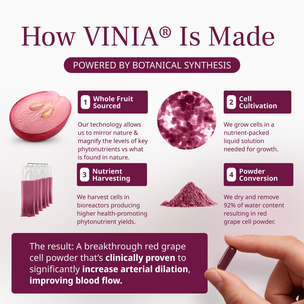 VINIA bottle in bright light, implying sustained resveratrol activity in the bloodstream.
