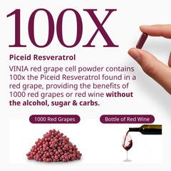 Close-up of VINIA capsules, illustrating convenient, non-stimulant daily energy support.
