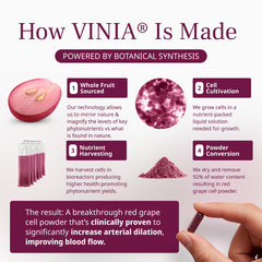 VINIA energy concept shows stimulant-free, steady energy without crashes.