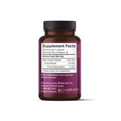 VINIA non-GMO seal on bottle reinforces product purity and trust.