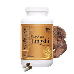 Vita Green Lingzhi bottle front for daily energy support