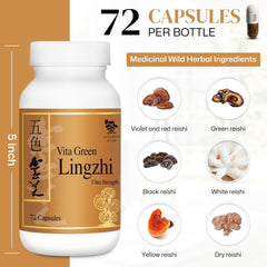 Vita Green Lingzhi immune-support capsules on a clean shelf.