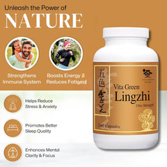 Vita Green Lingzhi packaging with capsules supports daily wellness routine