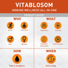 Vitablosom phospholipids and vitamin C illustration explaining liposomal delivery.