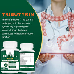 Illustration of the 11-in-1 formula for comprehensive gut health support.