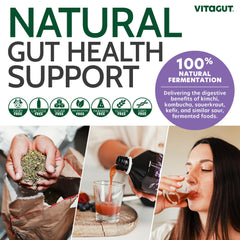 VITAGUT multi-strain bacteria visualization for diverse gut health support.