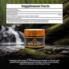 Vital Hill Shilajit Resin ready-to-use serving for sustained energy