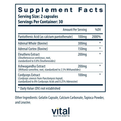Vital Nutrients Adrenal Support capsules arranged for easy daily energy balance.