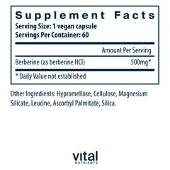 Vital Nutrients Berberine capsules close-up showing vegan 500 mg formula