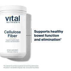 Vital Nutrients cellulose fiber powder scoop ready to mix into beverages.