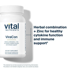 Vital Nutrients ViraCon elderberry ingredients visual emphasizing respiratory health potential.