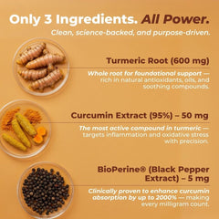 Vital Nutritive focus image highlighting brain health support.