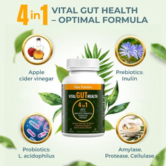 Vital Nutritive Vital Gut Health bottle pour — easy daily dosing for gut comfort.