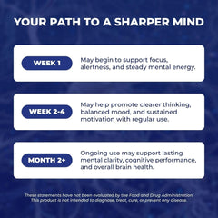 Capsules on white background ready for daily cognitive support with Vital Nootropic.