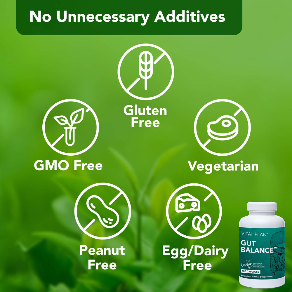 Vital Plan Gut Balance capsules ready for daily use supporting digestion.