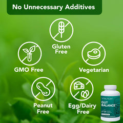 Vital Plan Gut Balance capsules ready for daily use supporting digestion.