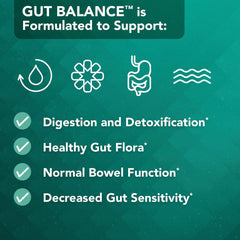 Vital Plan Gut Balance infographic illustrating gut microbiome balance.
