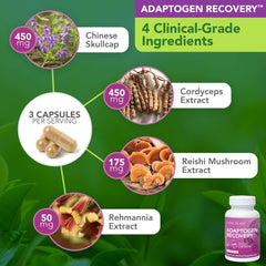 Vital Plan Reishi Mushroom capsules close-up illustrating natural immune support