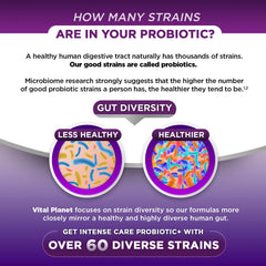 Back packaging detail notes 7 organic prebiotics and postbiotic components for microbiome support.