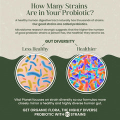 Vital Planet Probiotics for Men bottle on shelf illustrating convenient shelf-stable formula
