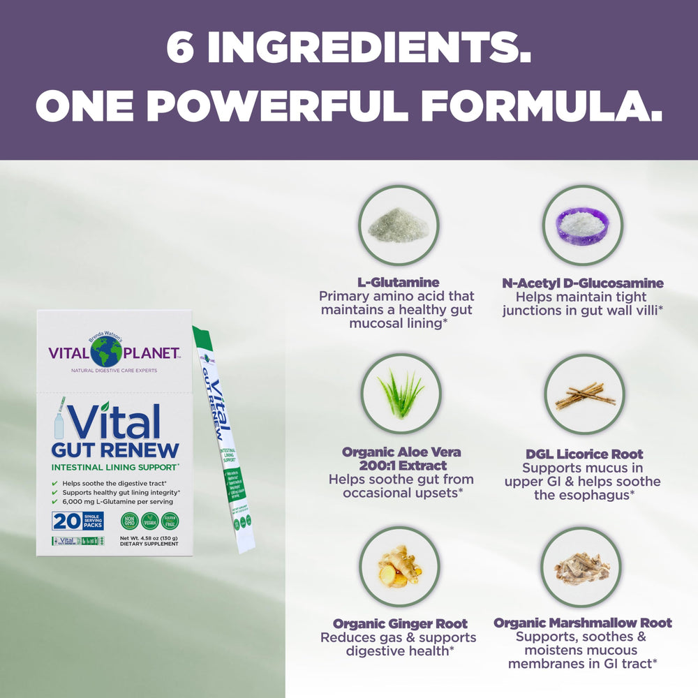 Vital Gut Renew ingredients scene showing L-Glutamine and Organic Aloe Vera for soothing digestive care
