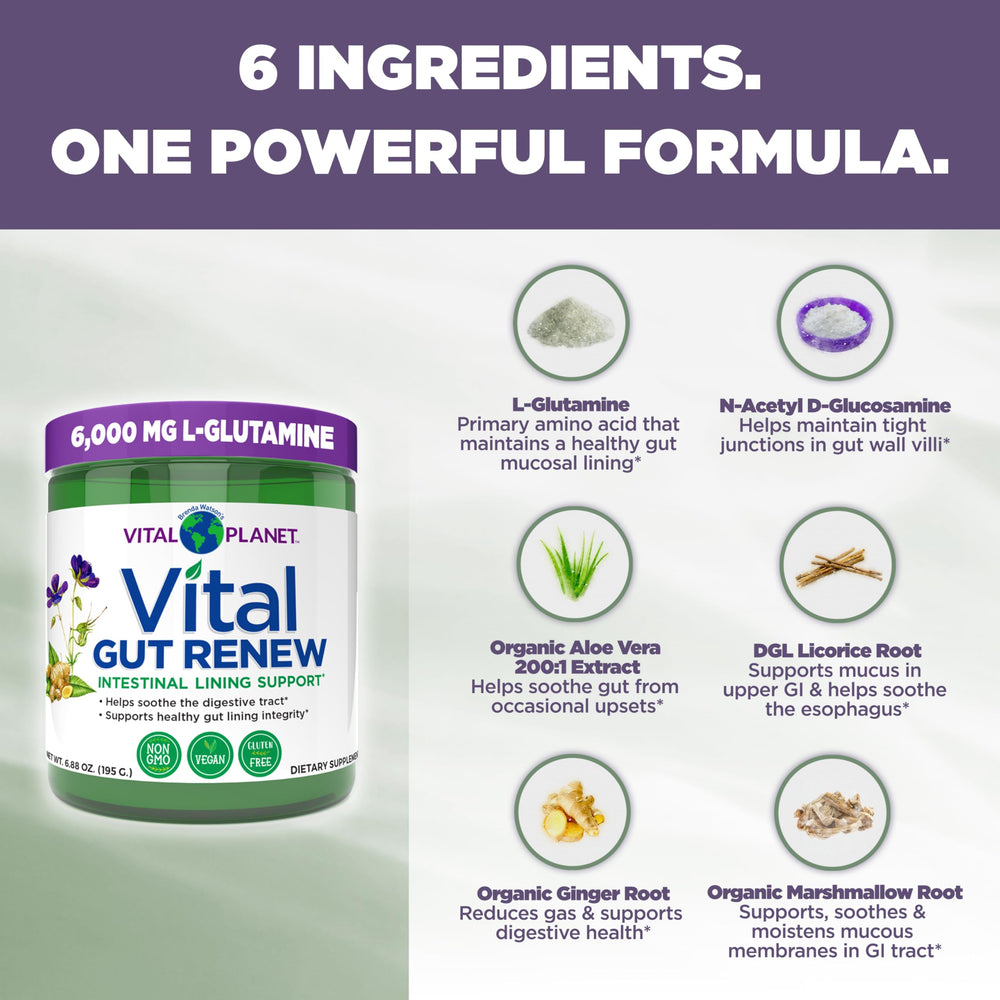 Close-up of Vital Gut Renew label highlighting L-Glutamine and ingredients.