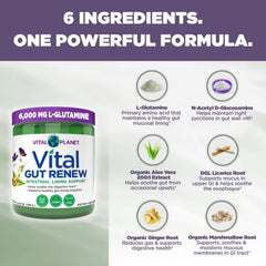Close-up of Vital Gut Renew label highlighting L-Glutamine and ingredients.