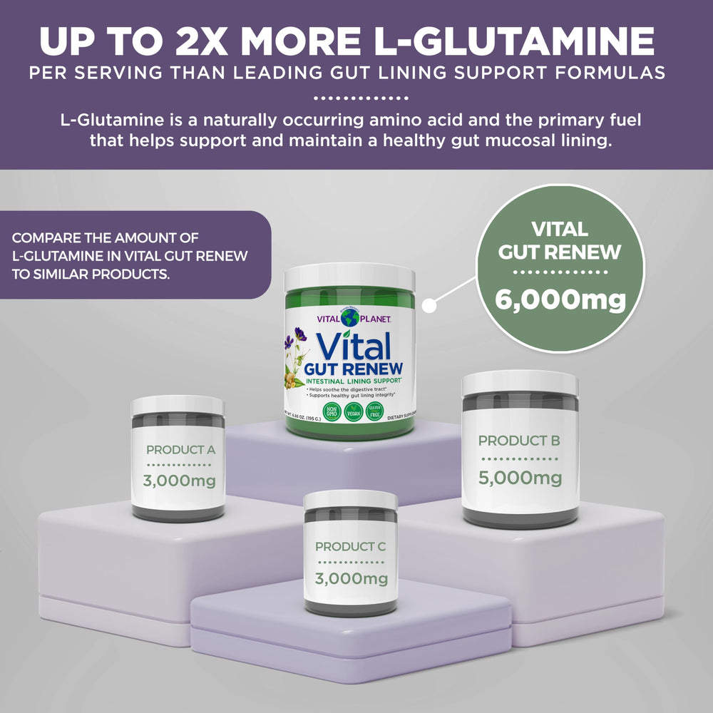 Vital Gut Renew packaging displayed on a kitchen shelf.