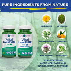 Part 2 herbal blend highlights andrographis, picrorhiza, guduchi for elimination support.