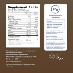 Vital Proteins Collagen Peptides Advanced chocolate smoothie-blend blends easily for post-workout refreshment