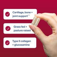 Vital Proteins Cartilage Collagen Pills pasture-raised bovine cartilage origin highlight.