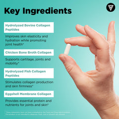 Vital Vitamins capsules closeup highlights Digeseb for enhanced absorption
