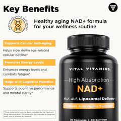 Vital Vitamins NAD liposomal illustration highlighting absorption