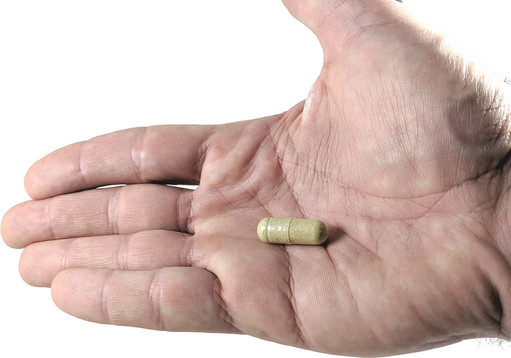 Vitalité Now digestive support bottle scene illustrating gut wellness pairing.