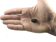 Vitalité Now serving size spoon demonstrates easy dosage and dissolvable options.
