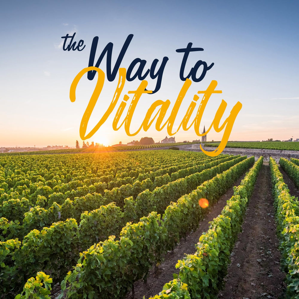 Vitalitown Probiotics Made in USA badge signals quality assurance.