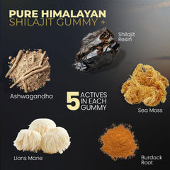 Vitamax Shilajit Gummies texture close-up