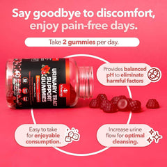 VITAMIZED packaging highlights vegan-friendly gummies for convenient wellness.