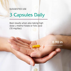 Vitanica CCDG Blend vegan formulation capsules for plant-based diets