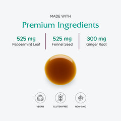 Vitanica Digestion Tonic fennel-seed image suggests gas relief and balance.
