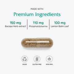Vitanica MindBlend bottle on a clean surface signals plant-based brain support