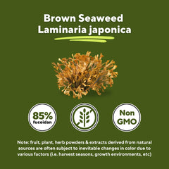 Sustainably sourced fucoidan ingredient from Vitapia supporting purity and ethics.